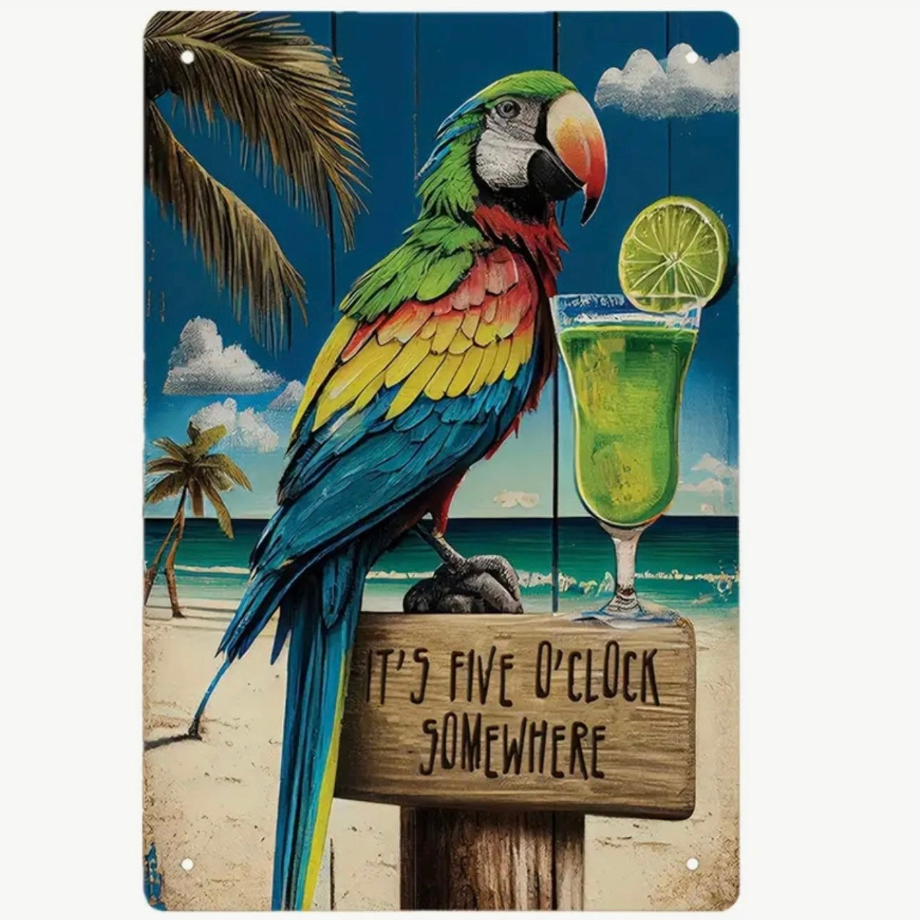 Placa de Alumínio com Papagaio e frase It’s five o’clock somewhere